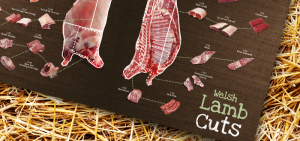 Technical Guide to Meat Cuts